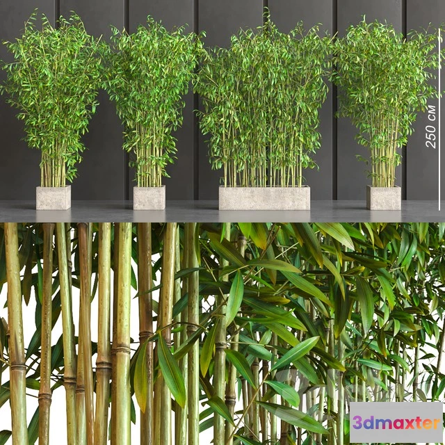 1069736 - 3DMAX PRO MODELS - 1522