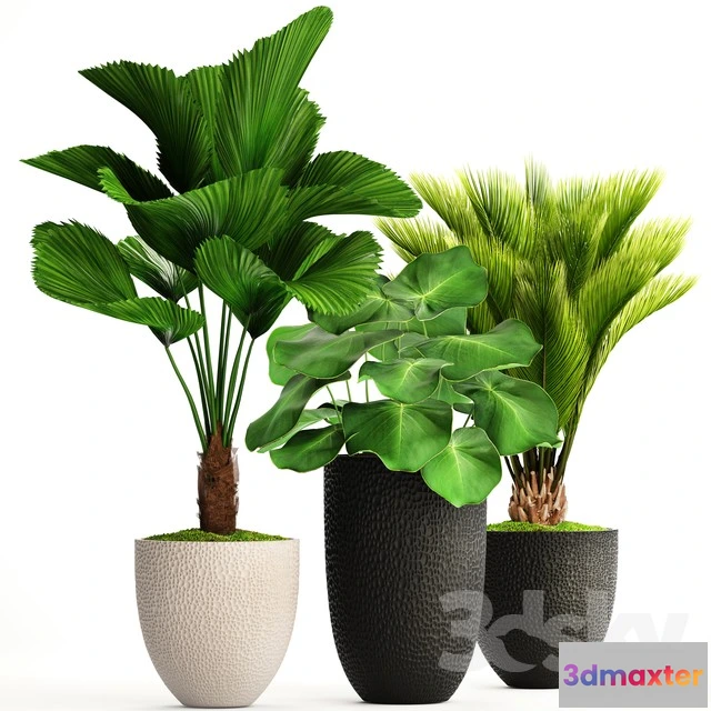 1069790 - 3DMAX PRO MODELS - 1549