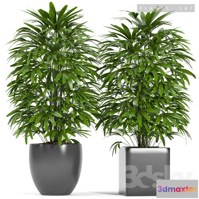 1069792 - 3DMAX PRO MODELS - 1550