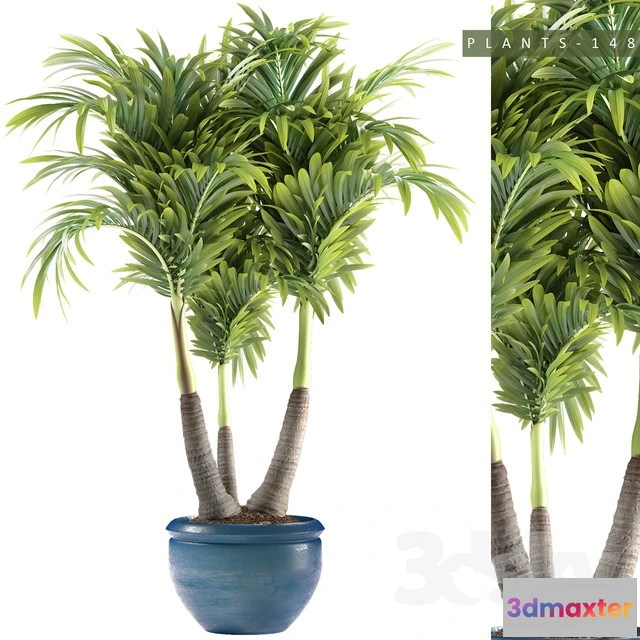 1069794 - 3DMAX PRO MODELS - 1551