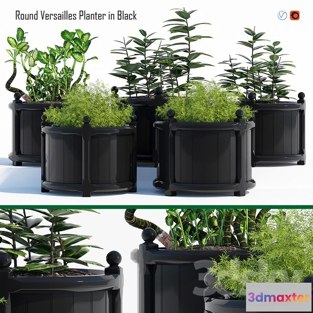 1069798 - 3DMAX PRO MODELS - 1553