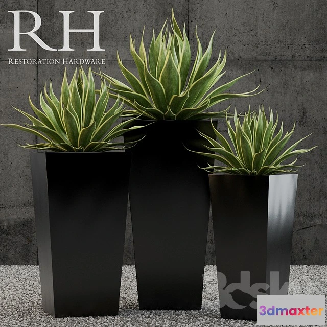 1069802 - 3DMAX PRO MODELS - 1555