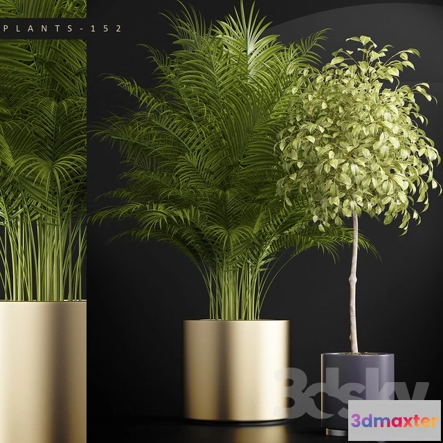 1069856 - 3DMAX PRO MODELS - 1582