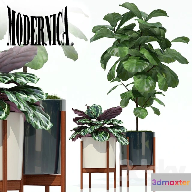 1069860 - 3DMAX PRO MODELS - 1584