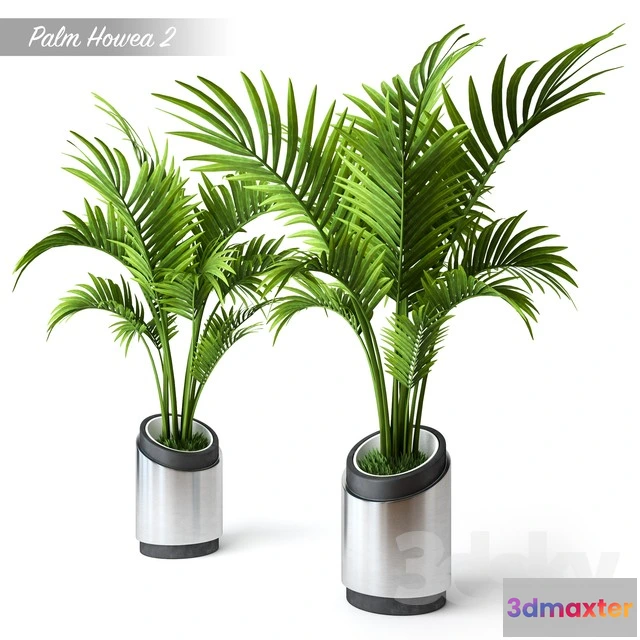 1069870 - 3DMAX PRO MODELS - 1589