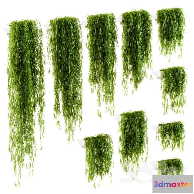 1069892 - 3DMAX PRO MODELS - 1600