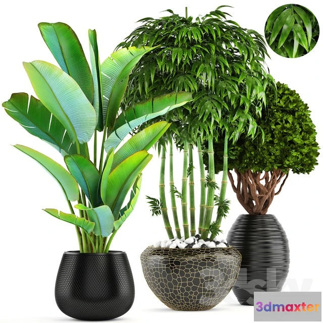 1069904 - 3DMAX PRO MODELS - 1606