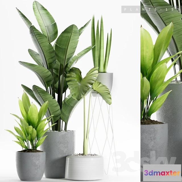 1069918 - 3DMAX PRO MODELS - 1613