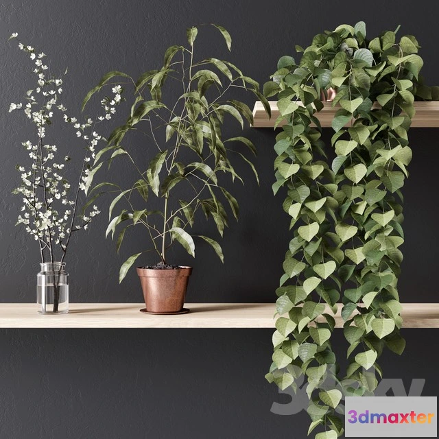 1069928 - 3DMAX PRO MODELS - 1618