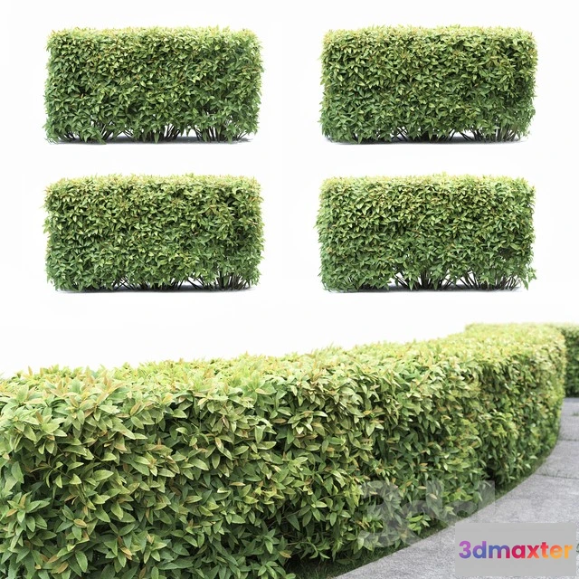 1069930 - 3DMAX PRO MODELS - 1619