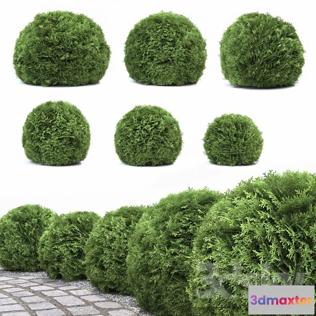 1069938 - 3DMAX PRO MODELS - 1623