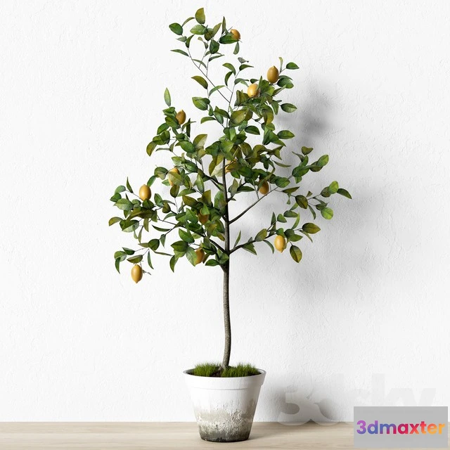 1069940 - 3DMAX PRO MODELS - 1624