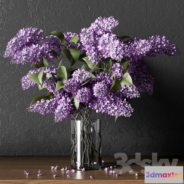 1069946 - 3DMAX PRO MODELS - 1627