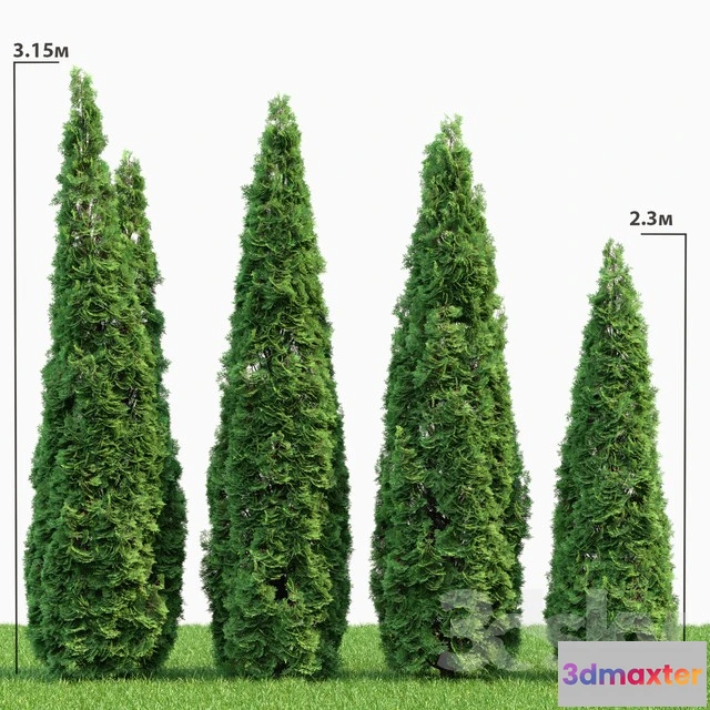 1069952 - 3DMAX PRO MODELS - 1630