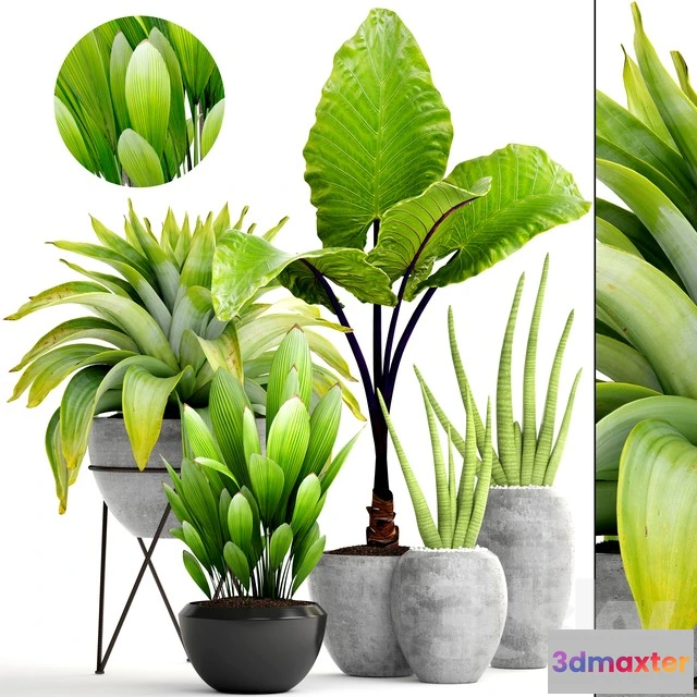 1069988 - 3DMAX PRO MODELS - 1648