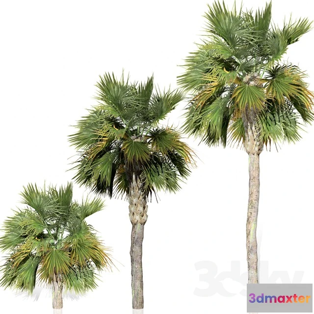 1069996 - 3DMAX PRO MODELS - 1652