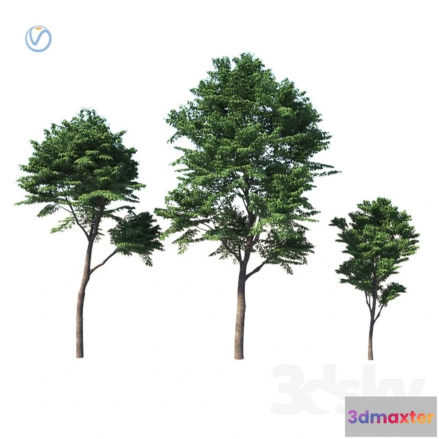 1070034 - 3DMAX PRO MODELS - 1671