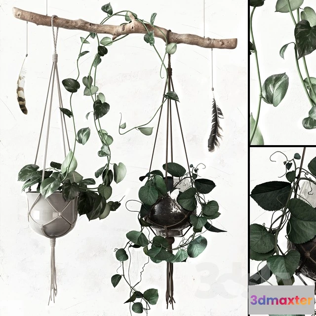 1070048 - 3DMAX PRO MODELS - 1678