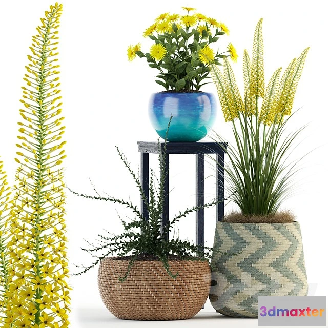 1070074 - 3DMAX PRO MODELS - 1691