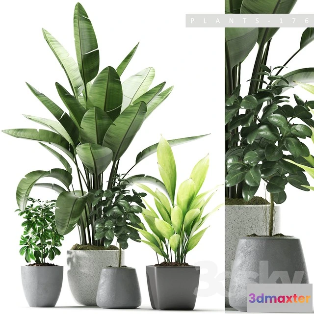 1070098 - 3DMAX PRO MODELS - 1703