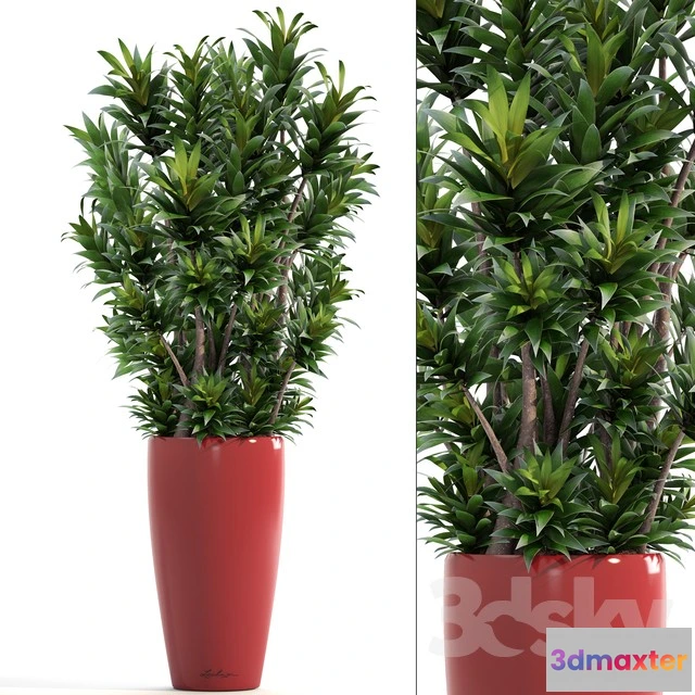 1070156 - 3DMAX PRO MODELS - 1732