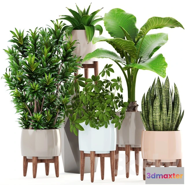 1070202 - 3DMAX PRO MODELS - 1755