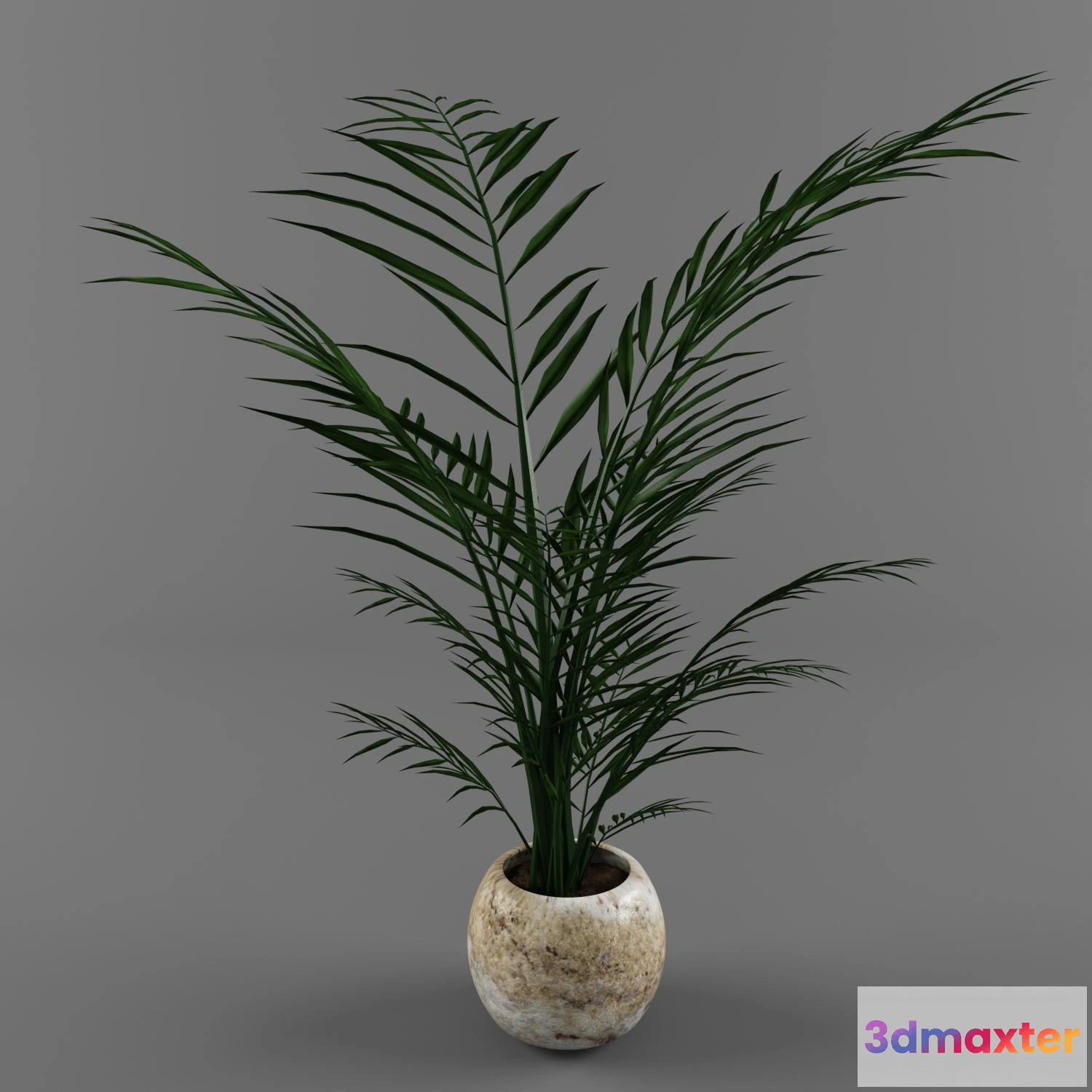 1070282 - 3DMAX PRO MODELS - 1795