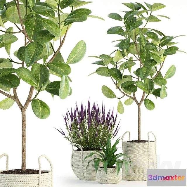 1070338 - 3DMAX PRO MODELS - 1823