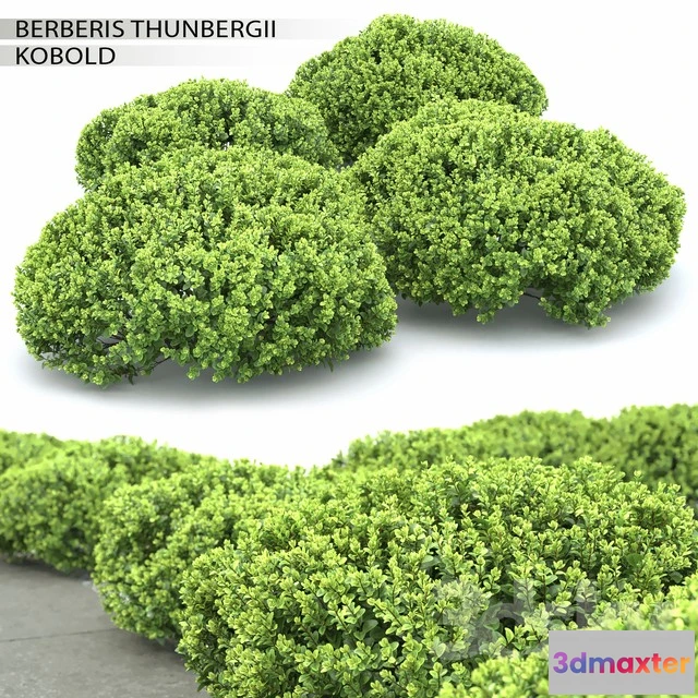 1070354 - 3DMAX PRO MODELS - 1831