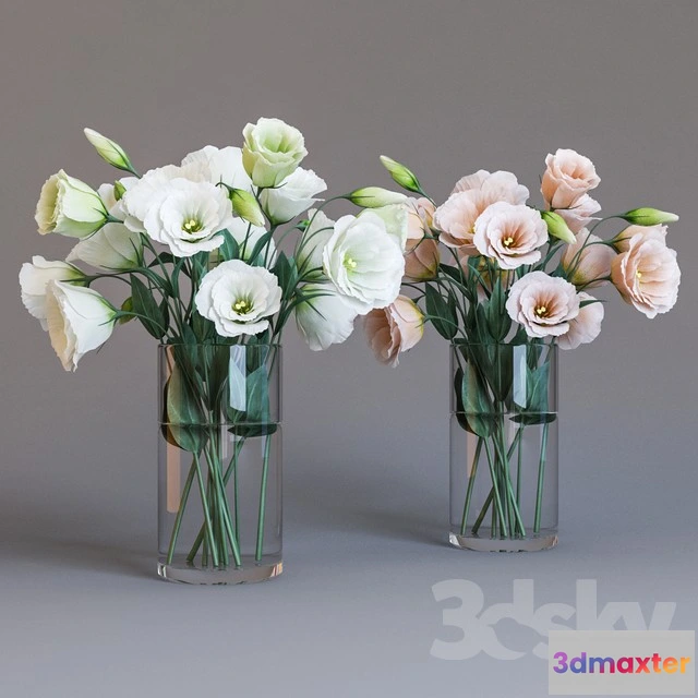 1070372 - 3DMAX PRO MODELS - 1840