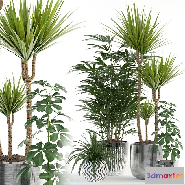 1070456 - 3DMAX PRO MODELS - 1882