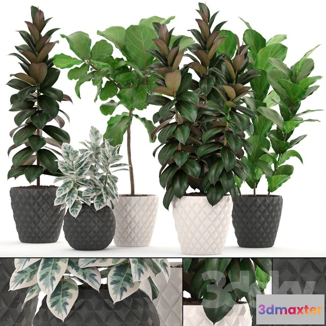 1070520 - 3DMAX PRO MODELS - 1914