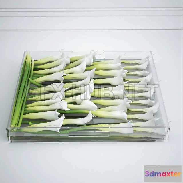 1071552 - acc_kala_decorative - 205109