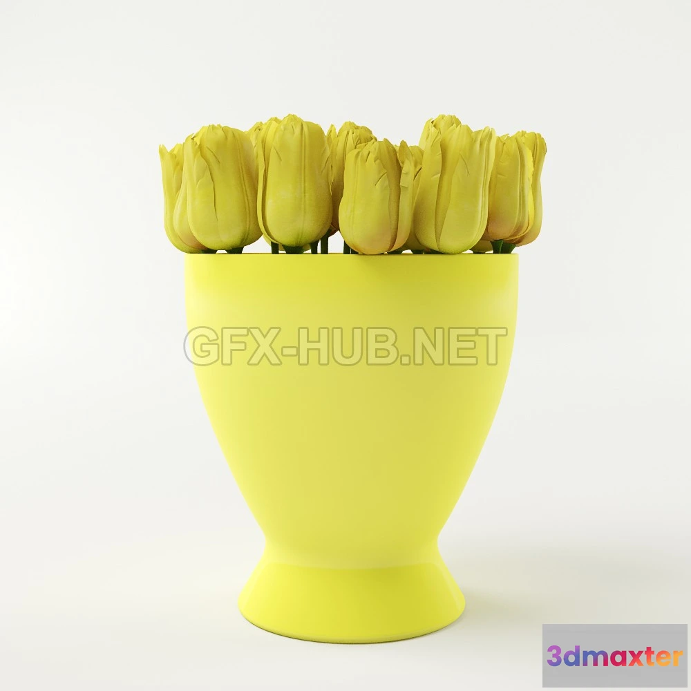 1071658 - Acc_tullips - 205215