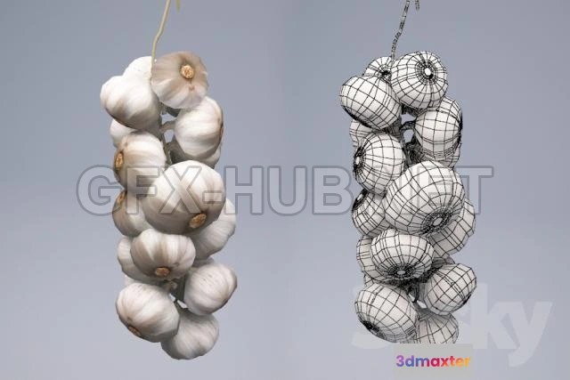 1071854 - ajos - 205411