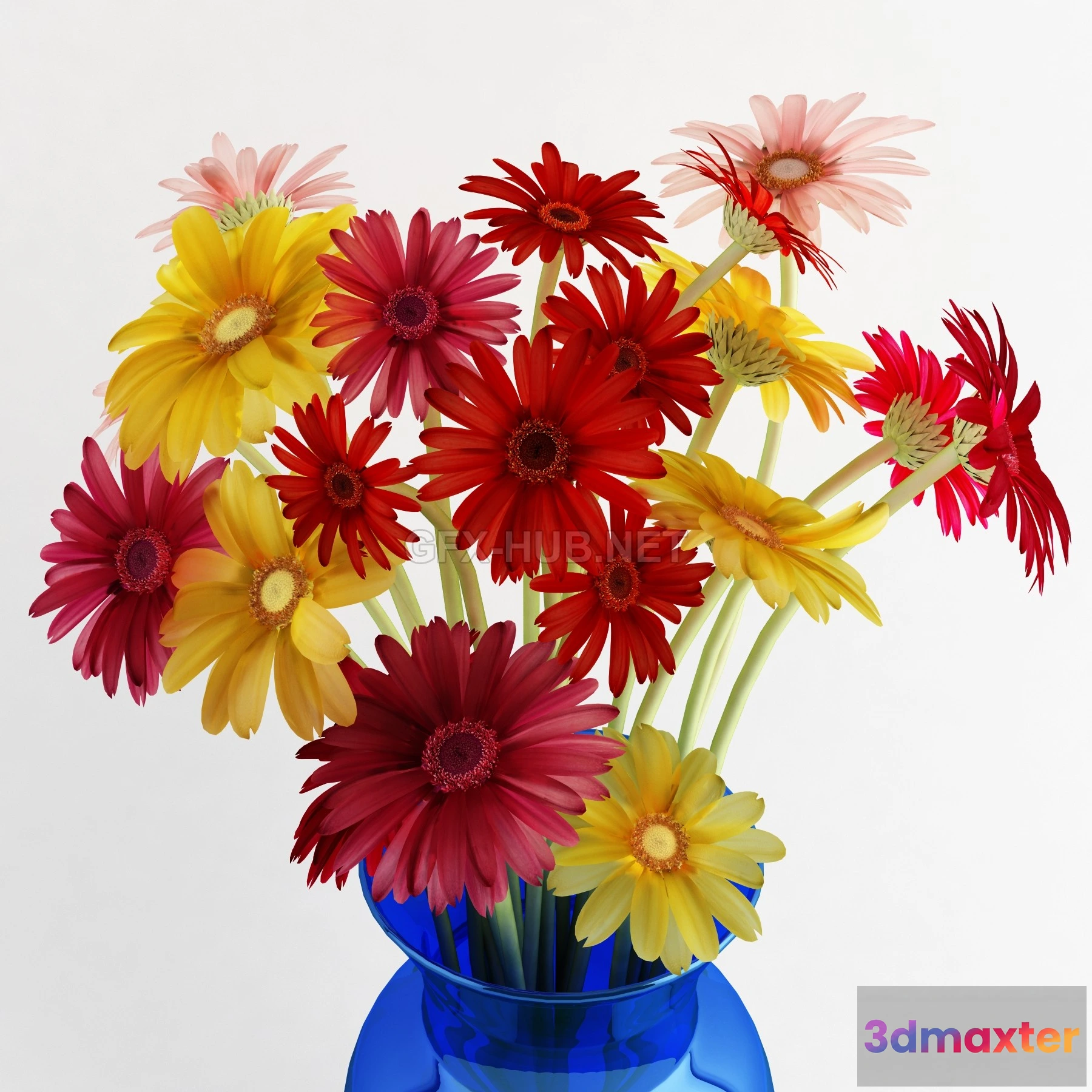 1072158 - Amb_Gerbera - 205715