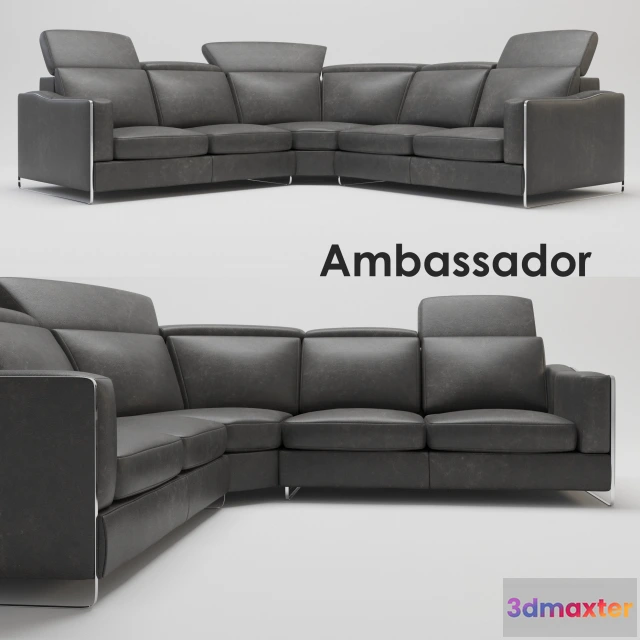 1072166 - Ambassador - 205723