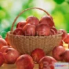 1072396 - APPLES VOL3 3D models - 205953