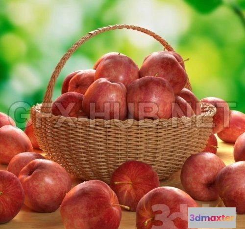 1072396 - APPLES VOL3 3D models - 205953