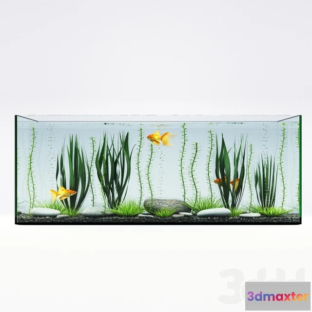 1072408 - Aquarium - 205965