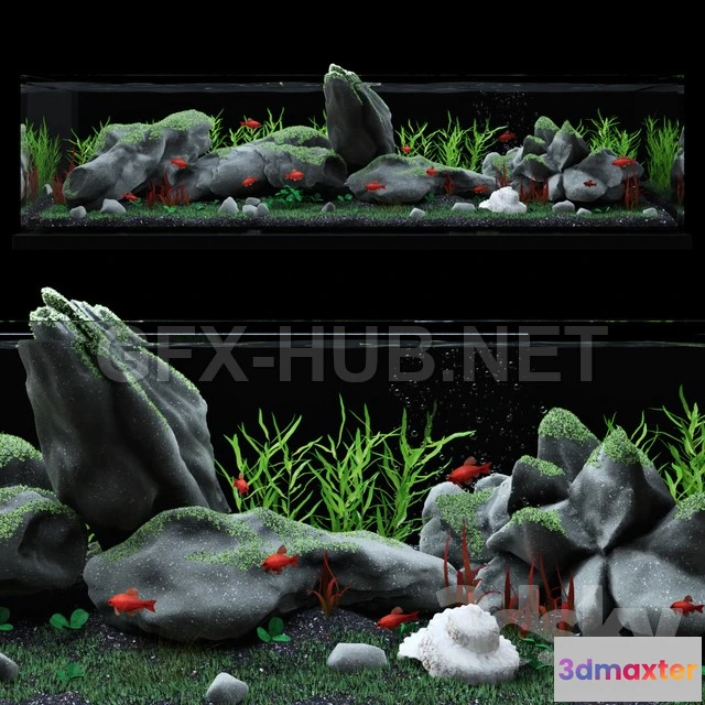 1072410 - Aquarium with fish - 205967