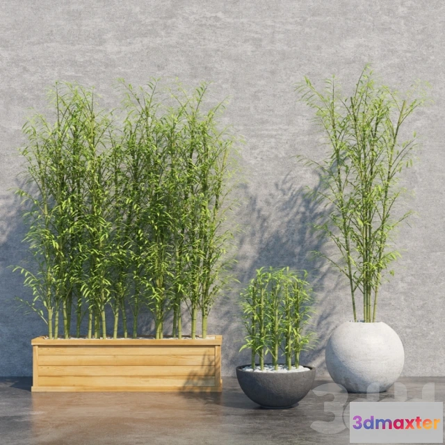 1073476 - Bamboo Set - 207033