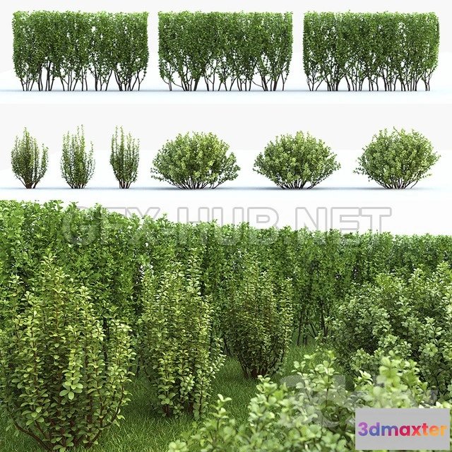 1073592 - Barbaris Tunberga Set 02 - 207149