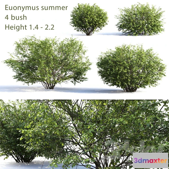 1074514 - Berezkin # 4 (Summer) - 208071