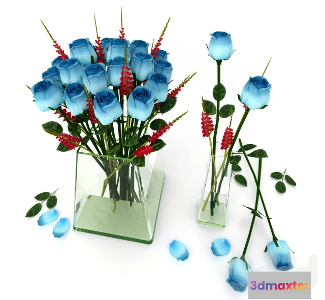 1074868 - BLUE ROSE - 208425