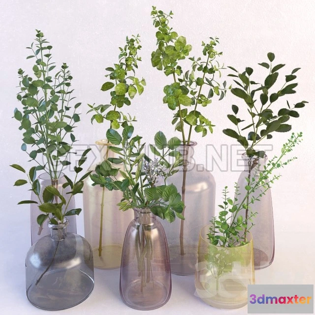 1075312 - Branch Set - 208869