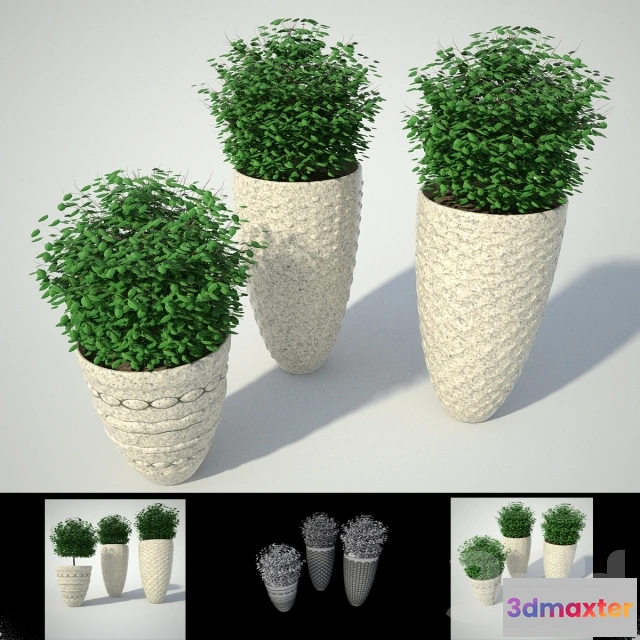 1075550 - BUSHS # 1 - 209107