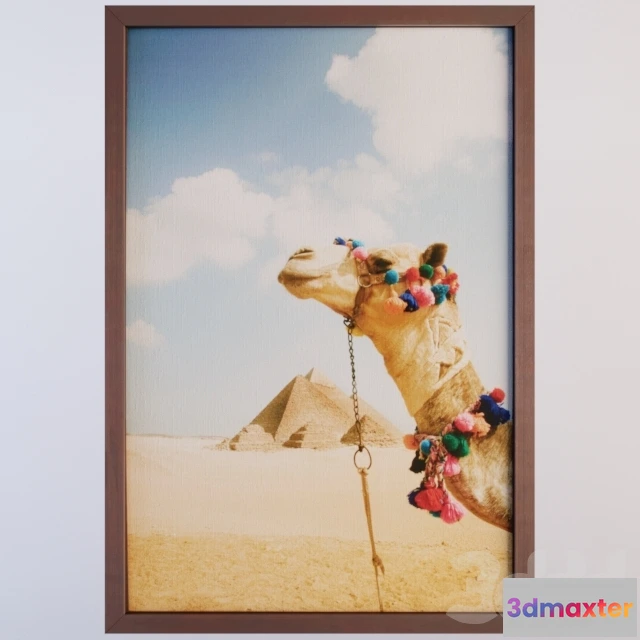 1075708 - Camel In The Desert By Grant Faint - 209265