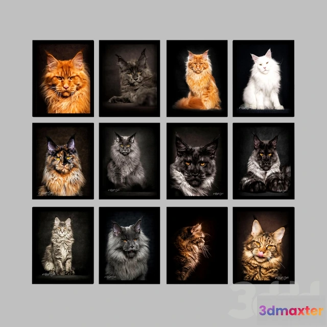 1076178 - CAT_66 - 209735