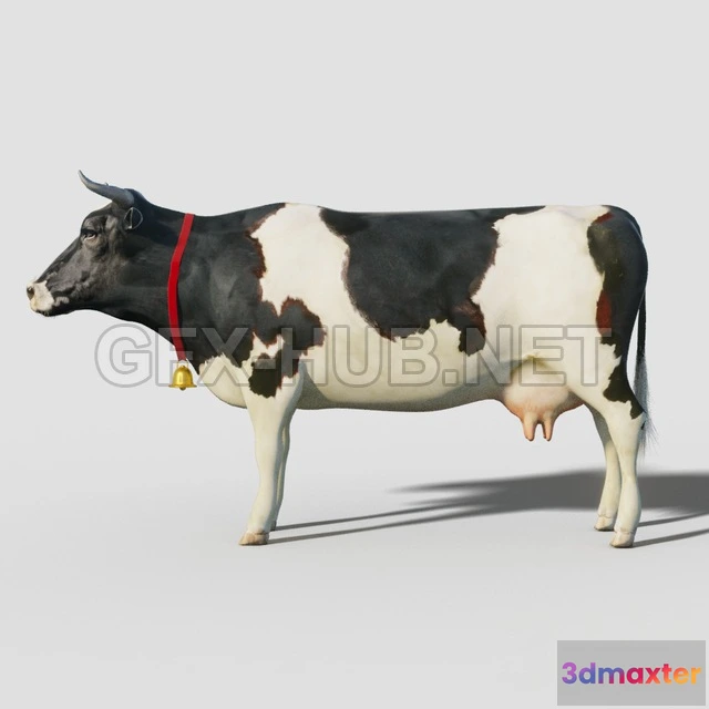 1077908 - Cow - 211465